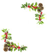 holly and red berries border