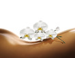 Soins et Bien Etre Thalasso