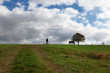 Lonely wanderer on the Road to Santiago