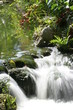 Stream