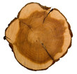 Section of juniper