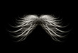 Illustration: Black and White Wings Black and White Wings