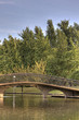 Bridge Over Pond