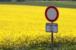 Verkehrsschild vor Rapsfeld
