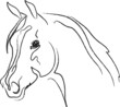 horse head vector