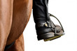 Reitsport, Pferdesport, Reiten, Streigbügel, horse, Reitsport, Pferdesport, Reiten, Streigbügel, horse,