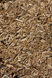 paillage naturel de mulch