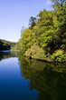 reflection of trees in a lake