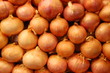 onions at the grocery onions at the grocery