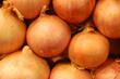 onions onions