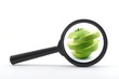 magnifying glass and apple magnifying glass and apple