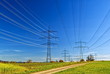Technology and Nature-3