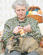 pet lie on legs woman pet lie on legs woman
