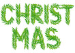 Christmas fir branch, xmas card, vector