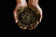 Soil in hands