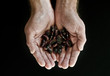 hands holding beans