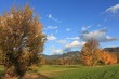 Herbst_Rankweil