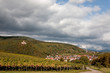 Blick auf Klingenmünster