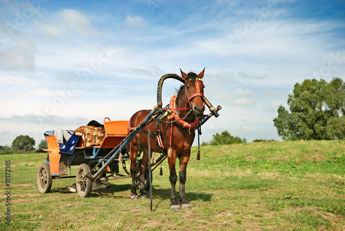 Photo: horse-drawn vehicle horse-drawn vehicle