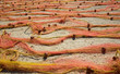 Drying fishing nets