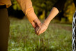 Hands in a meadow close-up