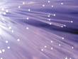 Optical fiber