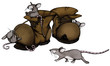 Umzug, Wohnung, Neubau, Altbau, Haus, Mäuse, Ratte