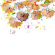 pencil shavings