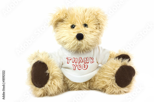 Photo: teddy bear teddy bear