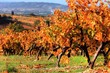 Couleurs d'automne