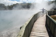 rotorua new zealand