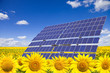 Solar panels on sunflowers field against ble sky