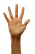 Hand isolated on white background