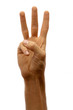 Hands counter. Three