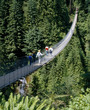 Haengebruecke_311740