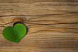 une feuille de trèfle vert symbole de l'environnement - green