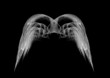 Monochrome Black and White Angel Wings