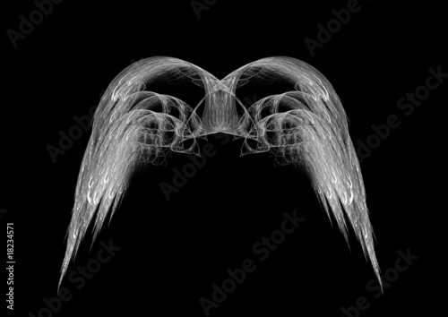 Illustration: Monochrome Black and White Angel Wings Monochrome Black and White Angel Wings