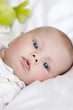 Cute baby boy with toy