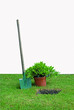 plantation plantation