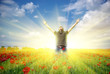 In poppy field In poppy field