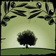 Olive tree and branch, Oil Olive tree and branch, Oil