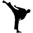 karate kick