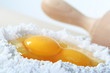 egg yolk