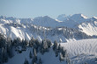 Fluchthorn im Winter