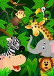 Wild animals in the jungle