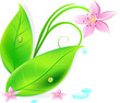 feuilles et fleurs