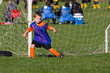 Guarding Goalie
