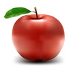 Red Apple Vector