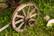Wheel of an old cart Wheel of an old cart